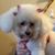Sarah Thornburg's profile image