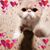 Charles Jarrett's profile image