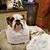 Tisha Wangen's profile image