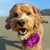Kimberly Mace Greene's profile image