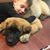 Brian James's profile image