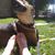 Shawnee Blankenship's profile image