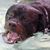 Beckie Bowers's profile image