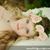 Misti Duffey Boyd's profile image