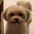 Kevin Ivey's profile image