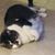 Pamela Midgley's profile image