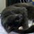 April Thorpe's profile image