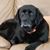 Roger Compton's profile image