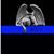 Vivian Schupman Quackenbush's profile image