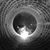 David Webster's profile image
