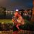 Jane Kroegher's profile image