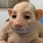 Happy Customer's profile image