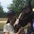 Jessica Pope Chalfant's profile image