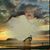 Dorothy Tobias's profile image