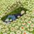 Jeanne Brosseau's profile image