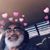 Orlando Nieves's profile image