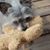 Sandy Gleason's profile image