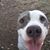 Chelle Renee Snider's profile image