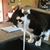 Sharon Kincaid's profile image