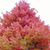 Kris Whitwam-Henning's profile image