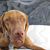 Shirley Wertlake's profile image