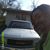 Dexter Muckle Jr.'s profile image