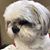 Maria Muciño's profile image