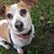 Beth Flores Florindi's profile image