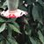 Donna McCario's profile image