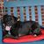 Sherry Cook Witmer's profile image