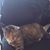 Susie Ridgeway's profile image
