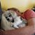 Maryann Bilgeshouse's profile image