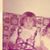 Robyn Nesbitt Franz's profile image