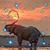 Grace Barrett's profile image