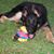 Bruce Roknich's profile image