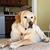 Stacia Thomas's profile image