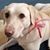 Cindy Bira Talbert Clifton's profile image