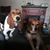 Julie Croy's profile image