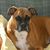 Denise Sprague's profile image