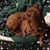 Susan E. Pope's profile image