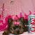 Darlene Seymour's profile image