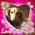 Paula Dix's profile image