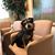Barb Whittle Harper's profile image