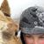 Justine Hescox's profile image