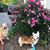 Janet Lenhart Mott's profile image