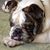 Gayle Reynolds's profile image