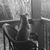 Rachel Uhl's profile image