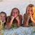 Liann Smith Moser's profile image