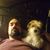 Jason Smith's profile image
