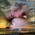 Cynthia Webber's profile image